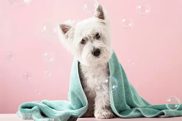 Dog grooming towels best sale