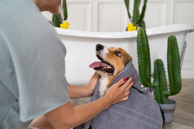 dog towel